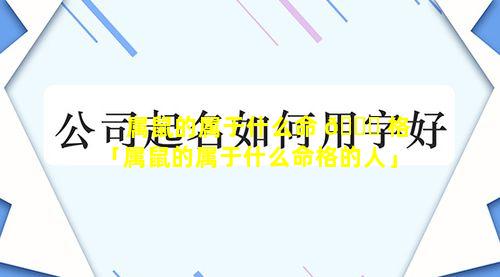 属鼠的属于什么命 🐛 格「属鼠的属于什么命格的人」